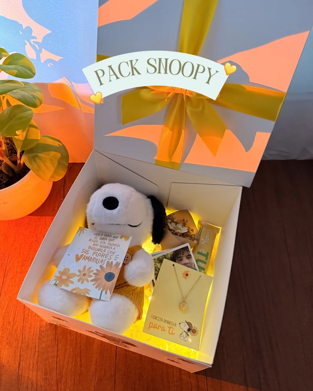 Pack snoopy