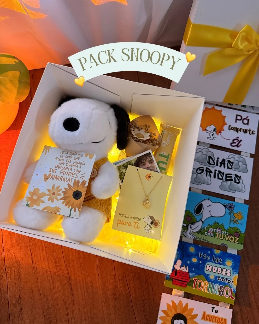 Pack snoopy — vista 2