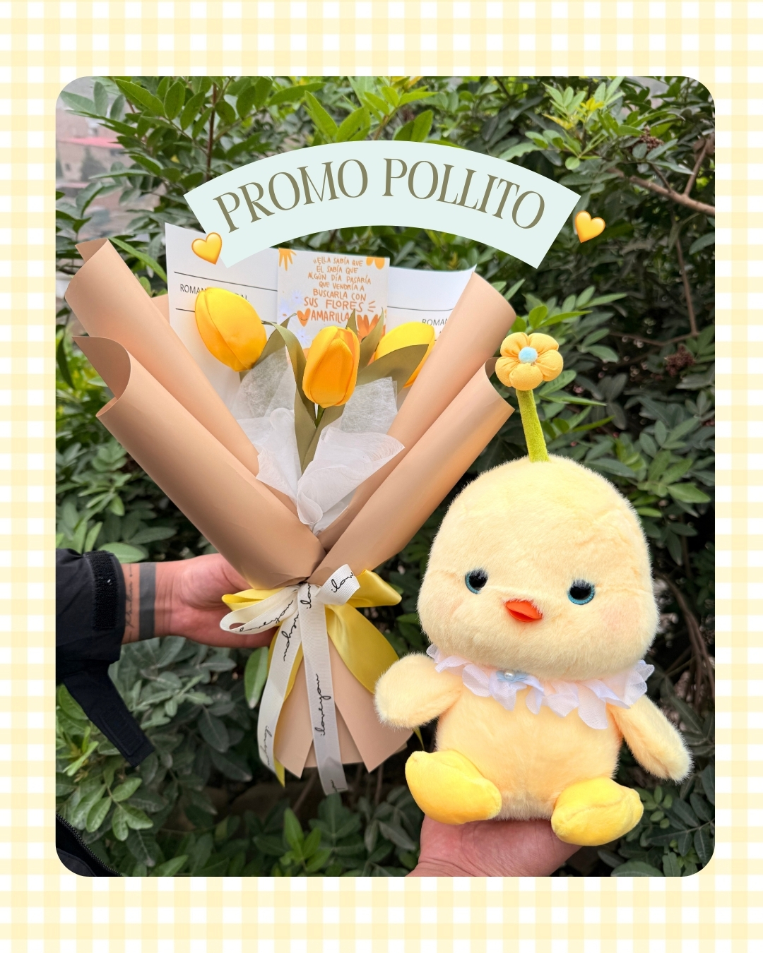 Promo pollito 🐥